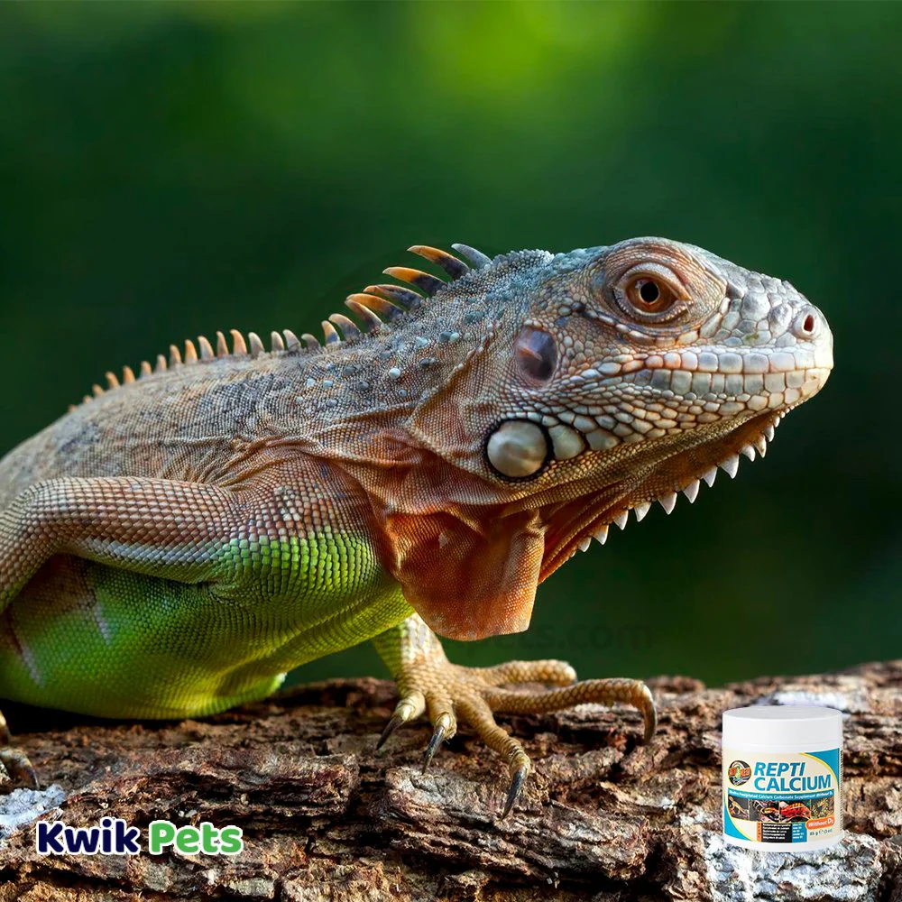 Zoo Med Repti Calcium without Vitamin D3 Reptile Supplement 3-oz - Image 4