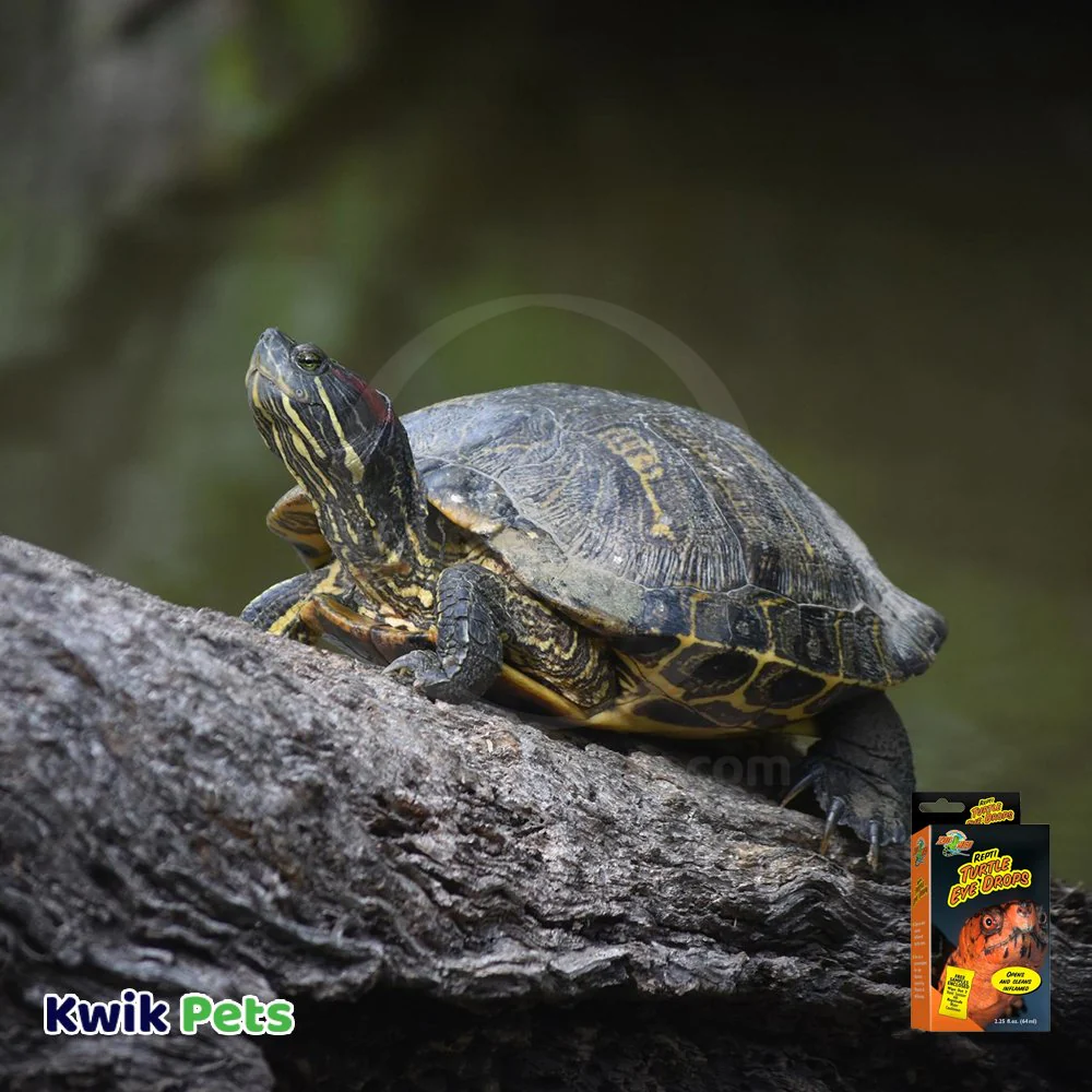 Zoo Med Repti Turtle Eye Drops for inflammed Eyes 2.25-oz - Image 6