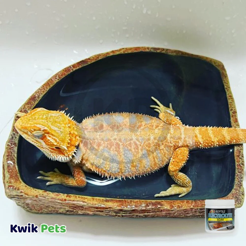 Zoo Med Reptile Electrolyte Soak Supplement 8-oz - Image 4
