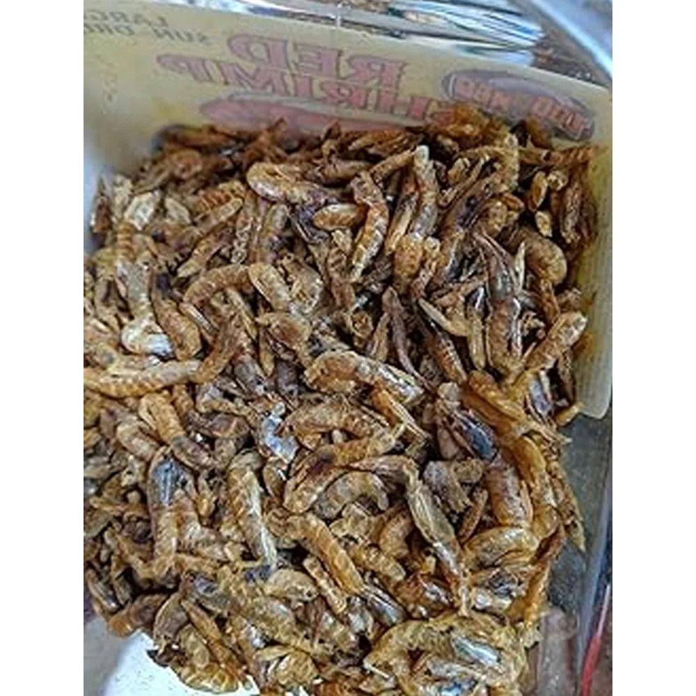 Zoo Med Sun-Dried Large Red Shrimp Reptile Food 0.5-oz - Image 4