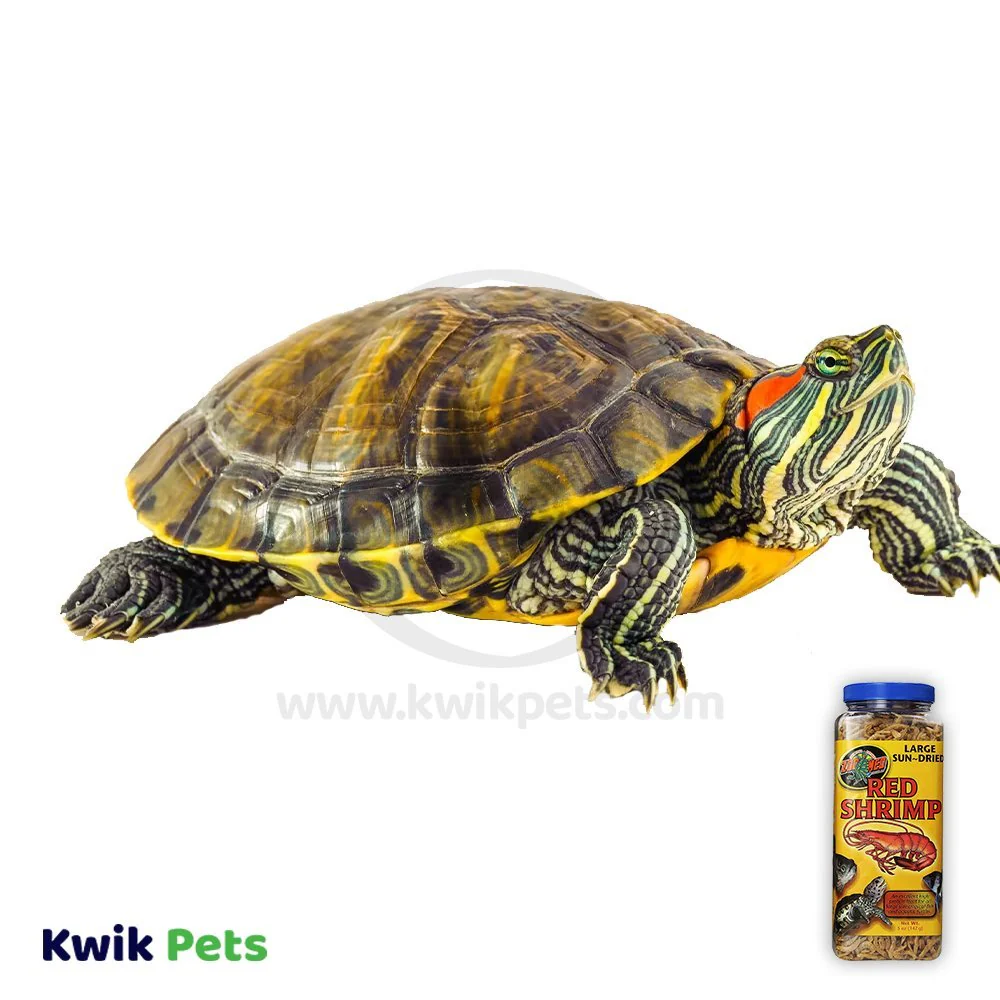 Zoo Med Sun-Dried Large Red Shrimp Reptile Food 0.5-oz - Image 5