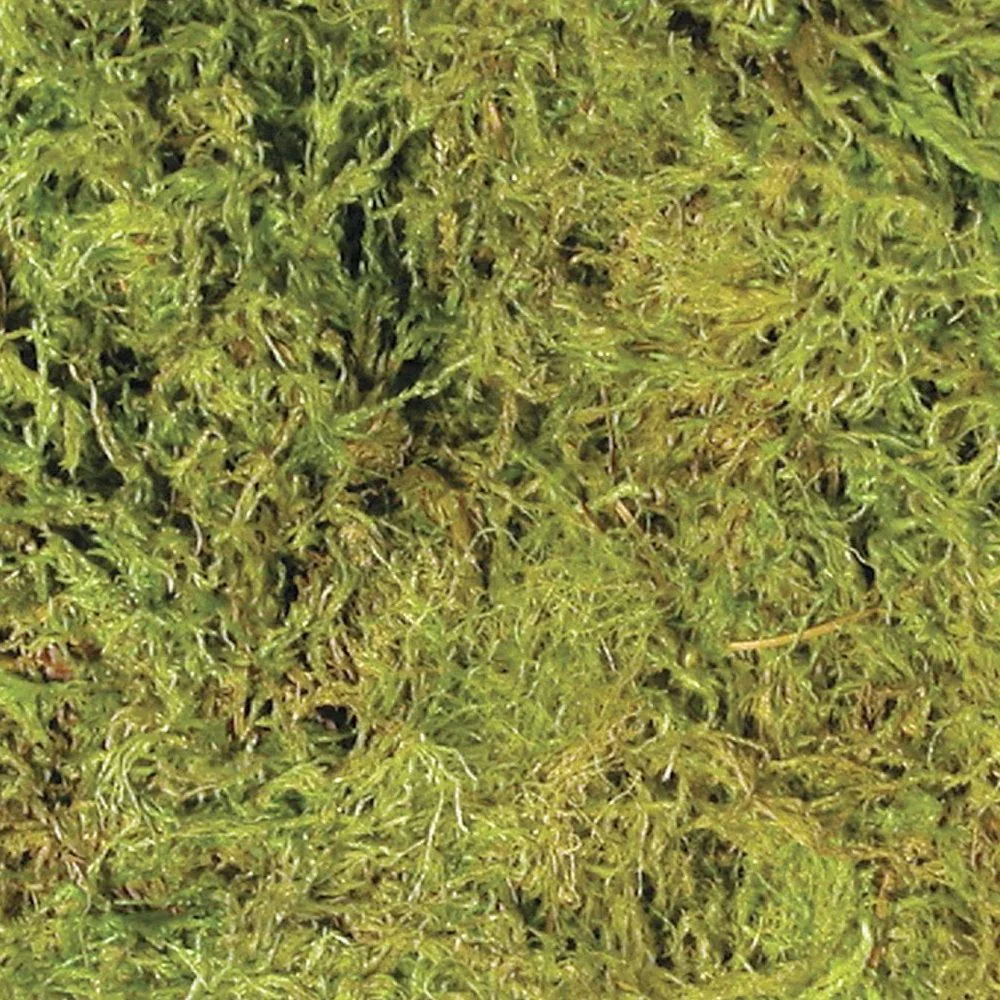 Zoo Med Terrarium Moss Substrate Green XL 30-40 gal - Image 5