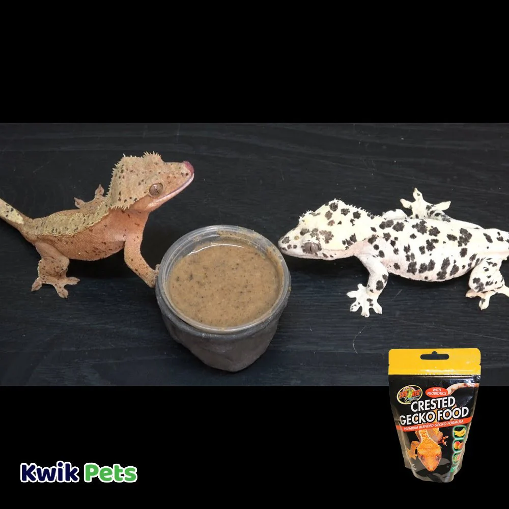 Zoo Med Premium Blended Tropical Fruit Flavor Crested Gecko Dry Food 2-oz - Image 4