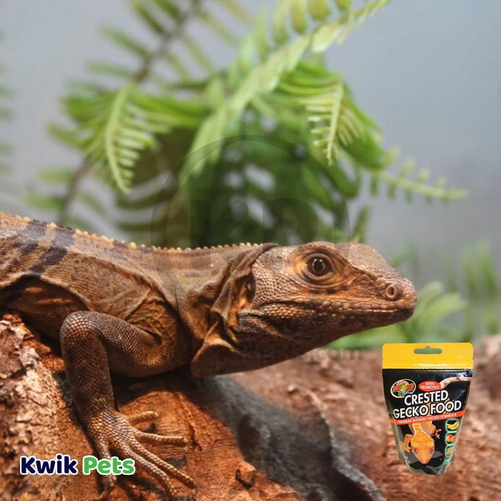 Zoo Med Premium Blended Tropical Fruit Flavor Crested Gecko Dry Food 2-oz - Image 5