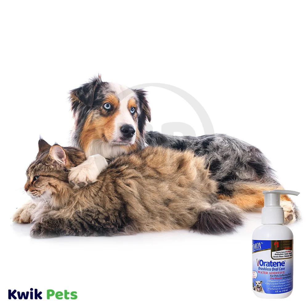 Zymox Oratene Brushless Enzymatic Oral Care Therapy Water Additive Bottle for Dogs & Cats 4-oz - Image 4